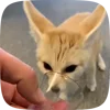 Стикер 45 Fennec