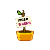 Стикер 25 Ficus