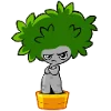 Стикер 5 Ficus