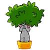 Стикер 9 Ficus