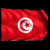 Стикер 34 Flags