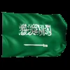 Стикер 60 Flags