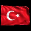 Стикер 16 Flags