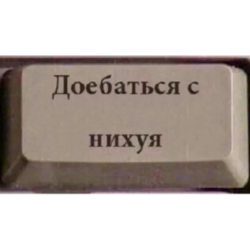 🌚 Стикер «Хуитень» для Telegram