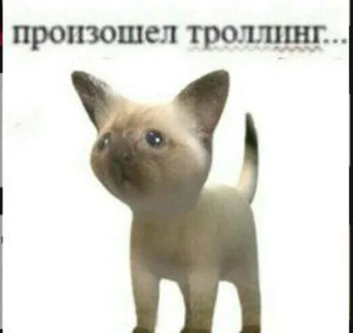 🤔 Стикер «Хуитень» для Telegram