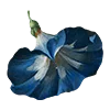 🌸 Эмодзи «AESTHETIC COLLECTION» для Telegram
