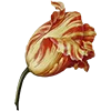 🥀 Эмодзи «AESTHETIC COLLECTION» для Telegram