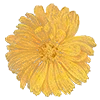 🏵 Эмодзи «AESTHETIC COLLECTION» для Telegram