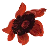 🌷 Эмодзи «AESTHETIC COLLECTION» для Telegram