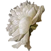 🪷 Эмодзи «AESTHETIC COLLECTION» для Telegram