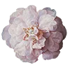 🌷 Эмодзи «AESTHETIC COLLECTION» для Telegram