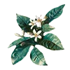 🌷 Эмодзи «AESTHETIC COLLECTION» для Telegram