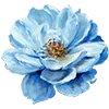 🌸 Эмодзи «AESTHETIC COLLECTION» для Telegram