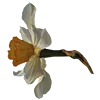 🌸 Эмодзи «AESTHETIC COLLECTION» для Telegram