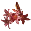 💐 Эмодзи «AESTHETIC COLLECTION» для Telegram
