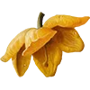 🏵 Эмодзи «AESTHETIC COLLECTION» для Telegram