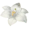 🌸 Эмодзи «AESTHETIC COLLECTION» для Telegram
