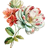 💮 Эмодзи «AESTHETIC COLLECTION» для Telegram