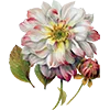 🌸 Эмодзи «AESTHETIC COLLECTION» для Telegram