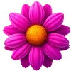 Стикер 11 🌷 Набор эмоджи с цветочками