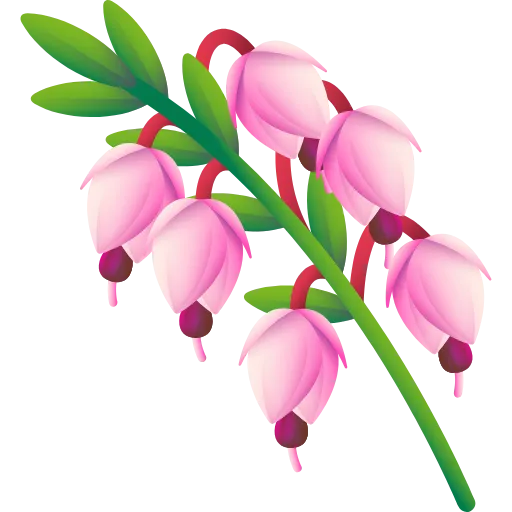 Стикер 38 Цветы