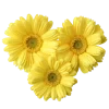 Стикер 8 🌹 Flowers - цветы