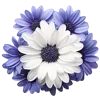 Стикер 16 🌹 Flowers - цветы