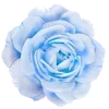 Стикер 9 🌹 Flowers - цветы
