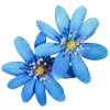 Стикер 42 🌹 Flowers - цветы