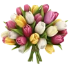 Стикер 15 🌹 Flowers - цветы