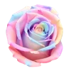 Стикер 20 🌹 Flowers - цветы