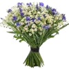 Стикер 38 🌹 Flowers - цветы