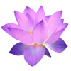 Стикер 52 🌹 Flowers - цветы