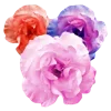 Стикер 6 🌹 Flowers - цветы