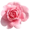Стикер 23 Flowers Aesthetics