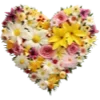 Стикер 49 Flowers Aesthetics