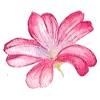 Стикер 9 Flowers Aesthetics
