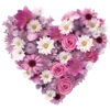 Стикер 48 Flowers Aesthetics