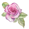 Стикер 11 Flowers Aesthetics