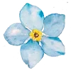 Стикер 10 Flowers Aesthetics