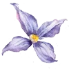 Стикер 5 Flowers Aesthetics