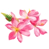 Стикер 15 Flowers Aesthetics
