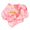 Стикер 7 Flowers Aesthetics
