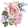 Стикер 20 Flowers Aesthetics