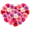 Стикер 41 Flowers Aesthetics