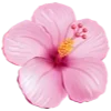 Стикер 21 Flowers Aesthetics