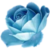 Стикер 26 Flowers Aesthetics