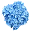 Стикер 25 Flowers Aesthetics
