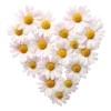 Стикер 42 Flowers Aesthetics