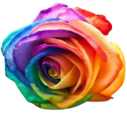 🌷 Стикер «Цветы • Flowers» для Telegram